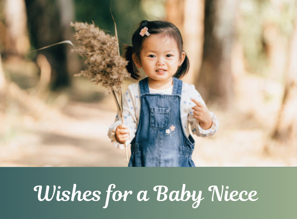 लाडक्या भाचीला वाढदिवसाच्या हार्दिक शुभेच्छा