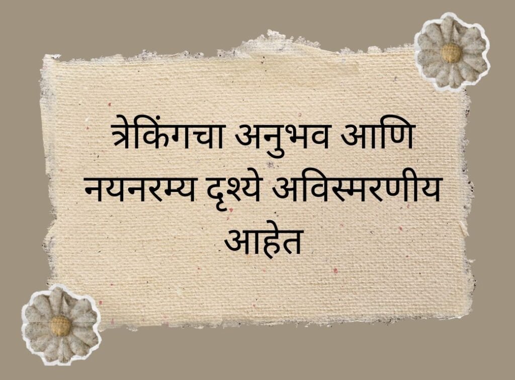 Fort Captions for Instagram